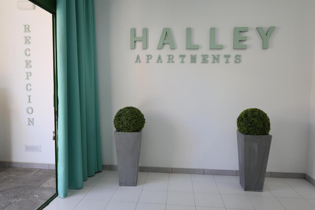 Halley Rooms โมกัน ภายนอก รูปภาพ
